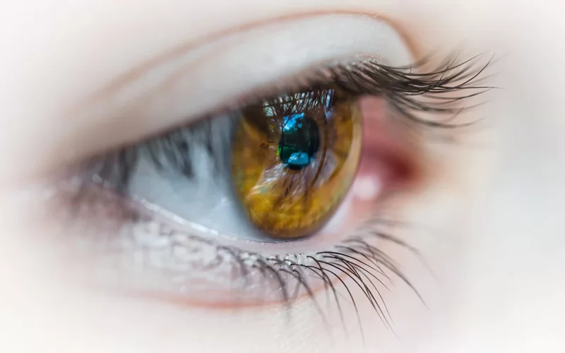 Lentillas de hidrogel convencional o de silicona. ¿De qué material están hechas?